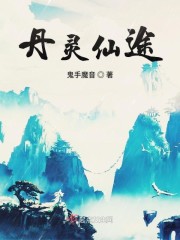 丹灵仙途