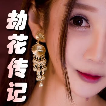 劫花传记